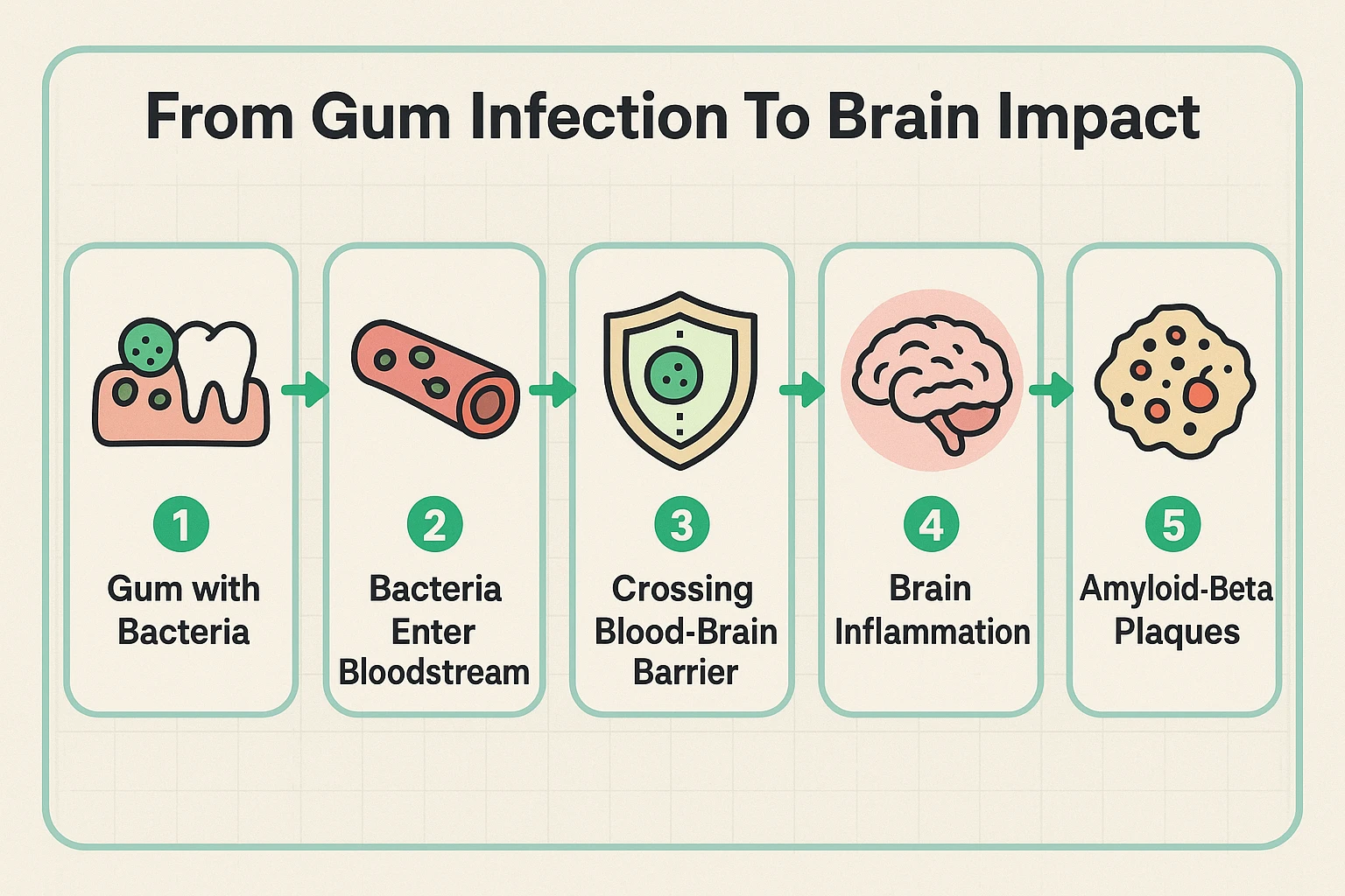 Shows the biological pathway of how oral bacteria travel from gums to brain, triggering inflammation linked to Alzheimer’s disease.