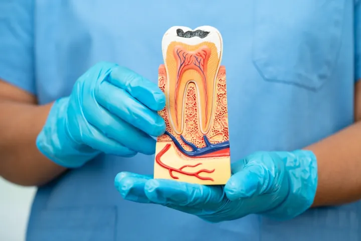 Microscope-Guided Treatment